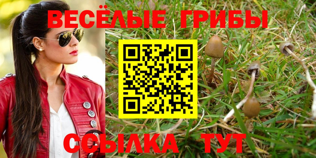 Галлюциногенные грибы Cubensis  Галлюциногенные грибы мухоморы  Добрянка 