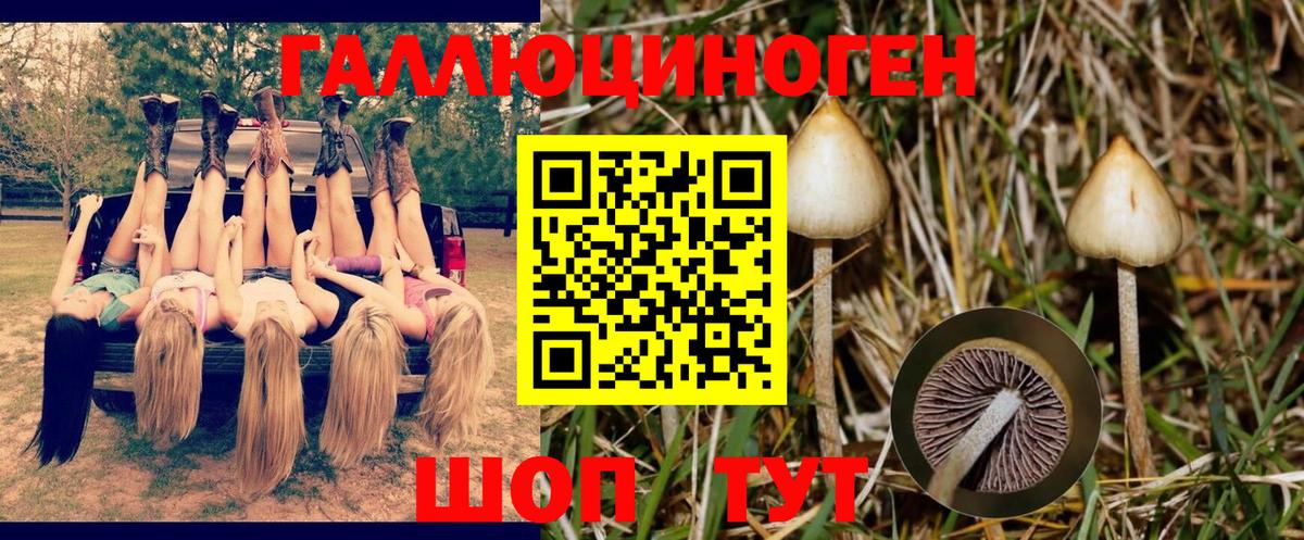 Галлюциногенные грибы MAGIC MUSHROOMS Добрянка